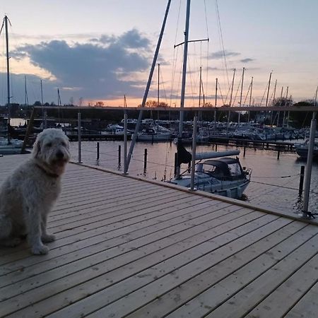 Hausboot Gluecksmomente Mit Dachterrasse In Schleswig Am Ostseefjord Schlei Exteriör bild