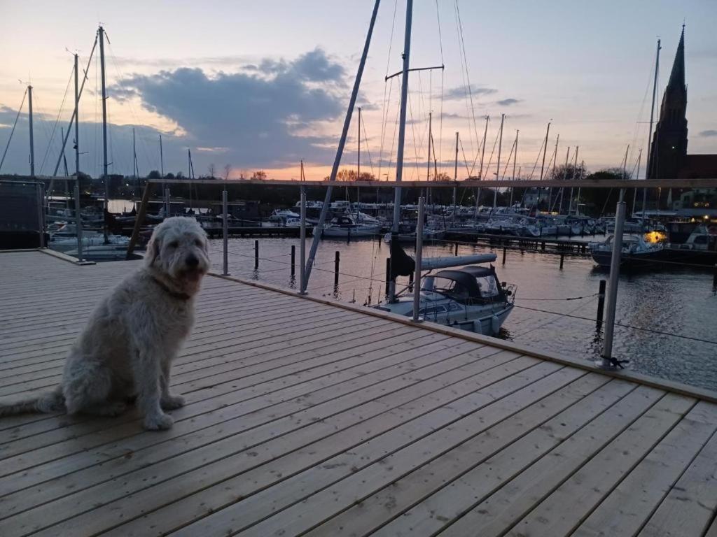 Hausboot Gluecksmomente Mit Dachterrasse In Schleswig Am Ostseefjord Schlei Exteriör bild